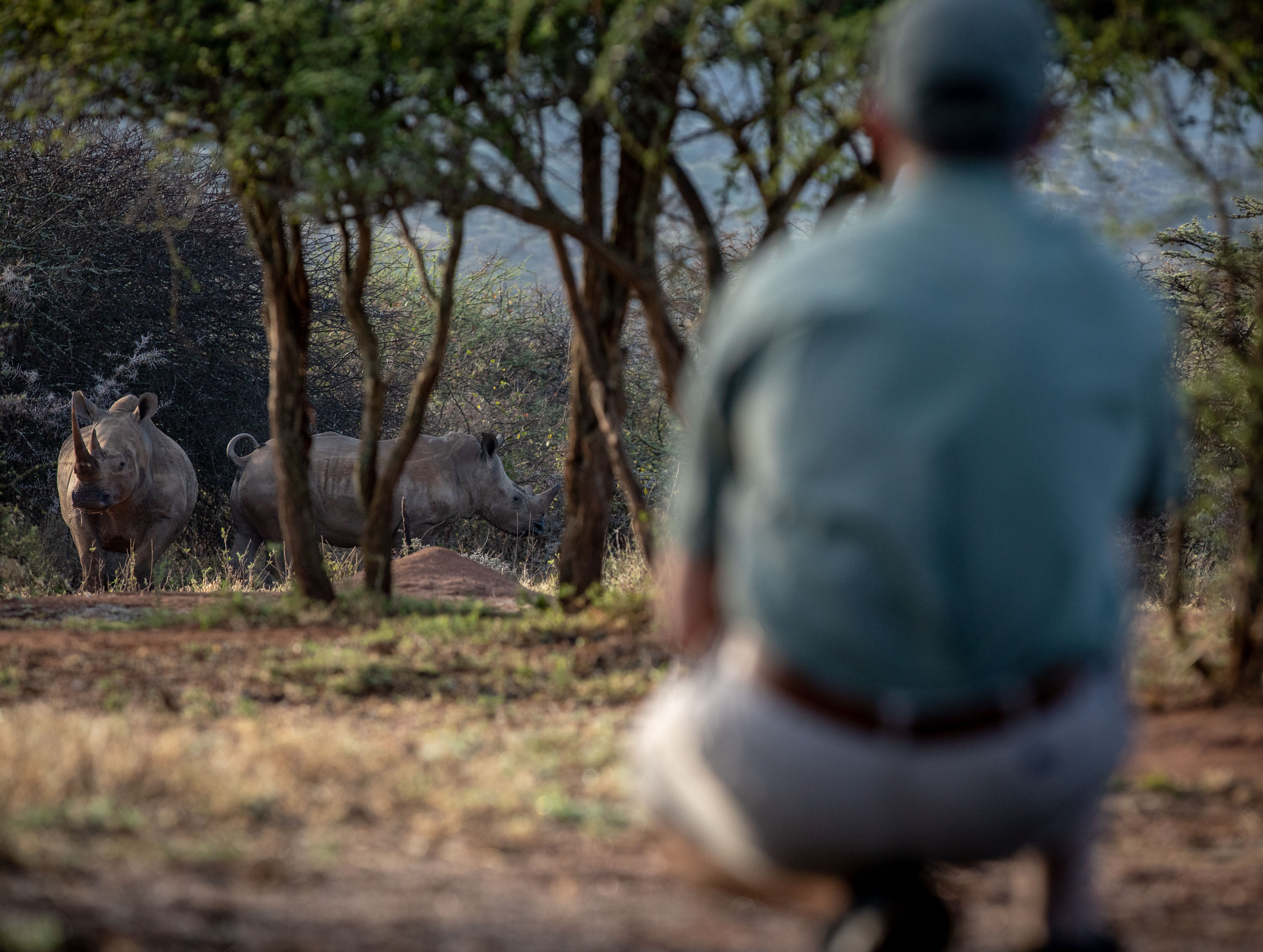 Philosophy | Ol Jogi Conservancy | Ol Jogi Wildlife Conservancy Kenya