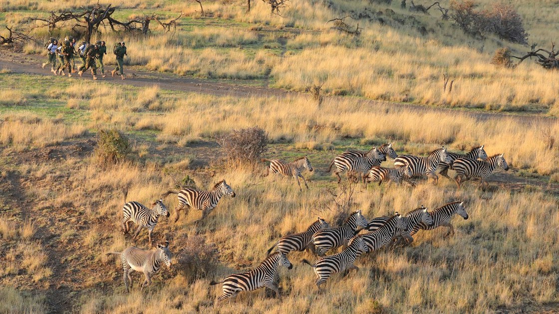 Ol Jogi Rangers Compete in the 2023 Wildlife Ranger Challenge | Ol Jogi ...